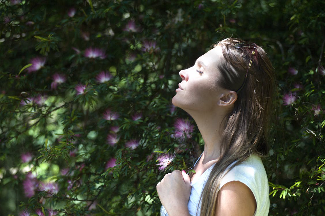 Using Traditional Chinese Medicine for Alleviating Stress